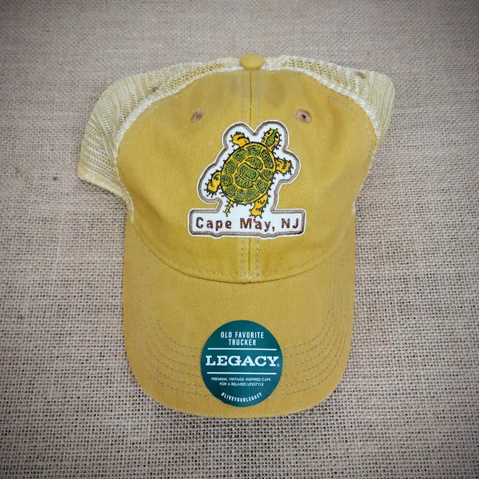 Adult Turtle Patch Hat
