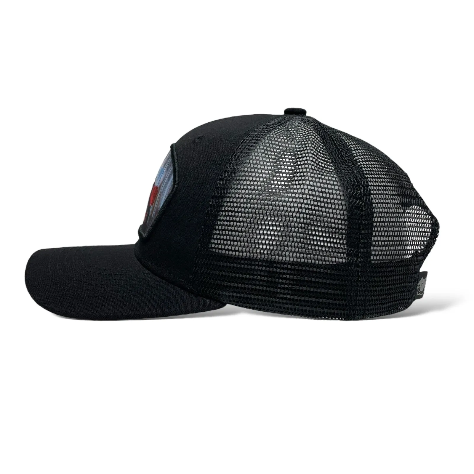 Lone Star State Texas Flag Snapback Baseball Cap, Mesh, Style Rodeo