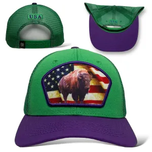 United States America USA Flag Bison Buffalo Patch Snapback Cap