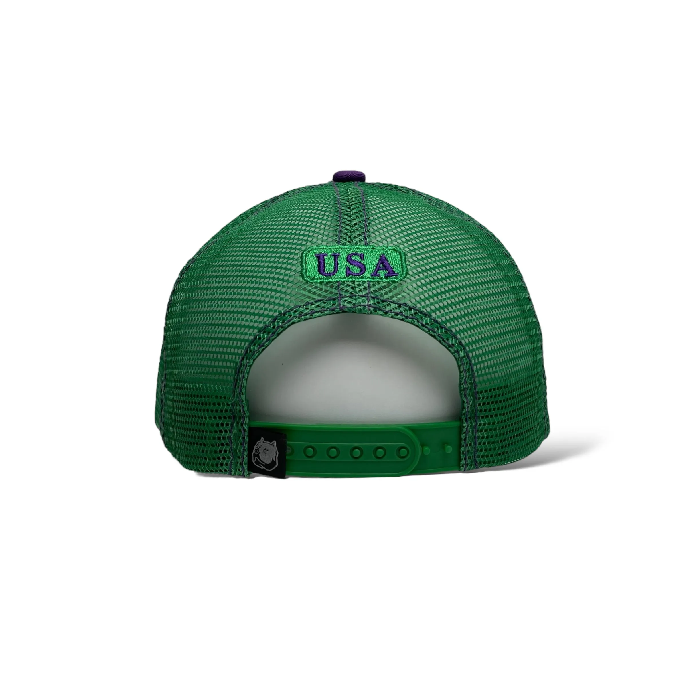 United States America USA Flag Bison Buffalo Patch Snapback Cap